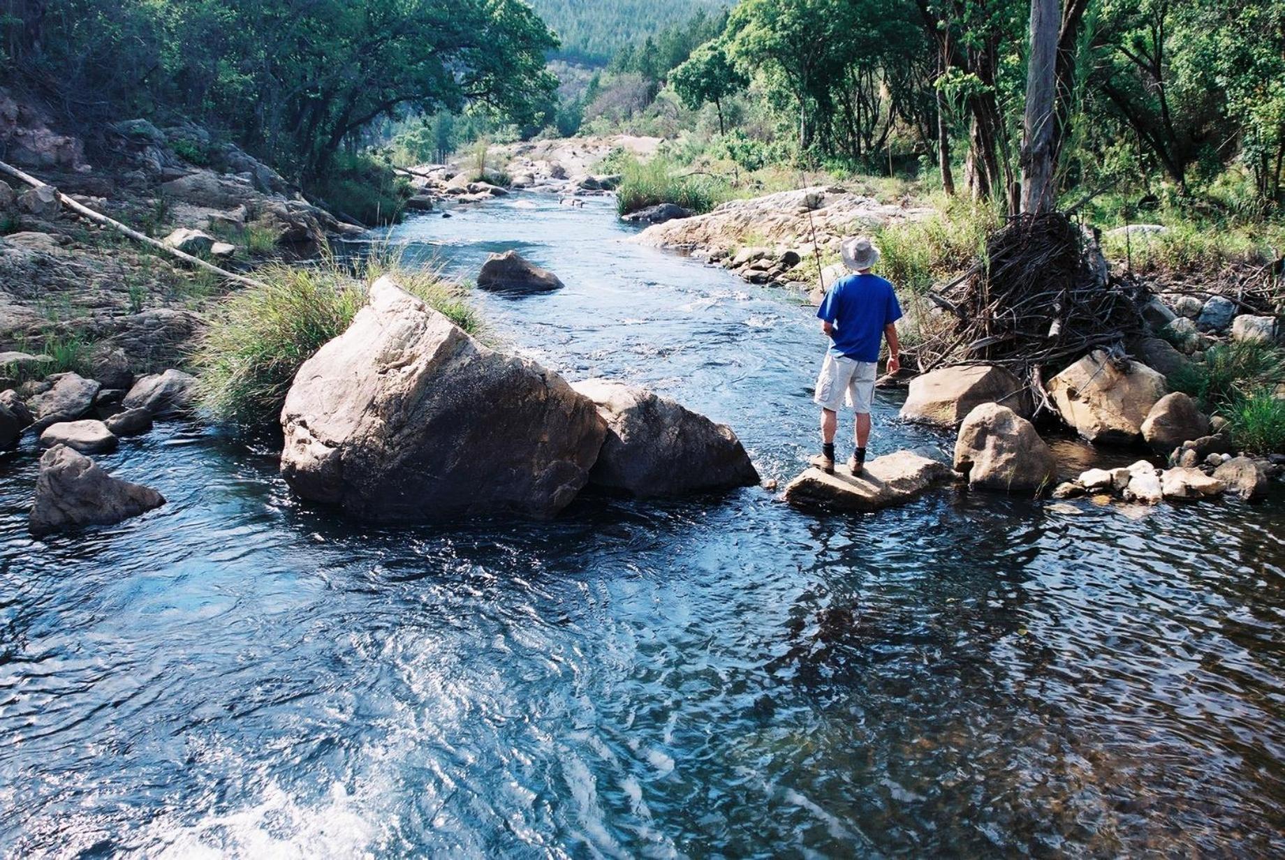 Magoebaskloof Hotel Tzaneen Εξωτερικό φωτογραφία